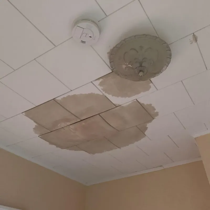 Ceiling Water Damage Repair in Park View, IA