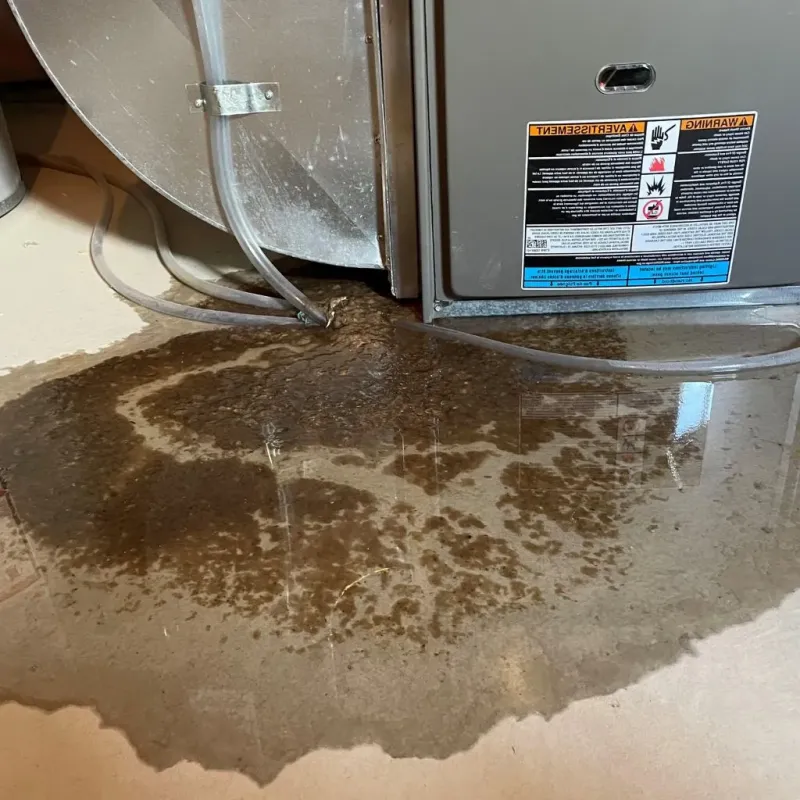 Pipe Burst and Leak Restoration in Park View, IA