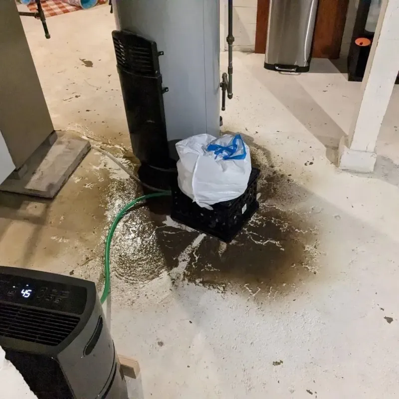 Sewage Backup Cleanup Service in Park View, IA